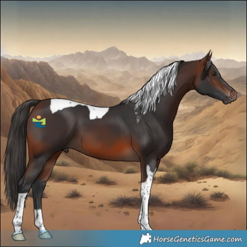 Horse Color:Brown Mushroom Tobiano 