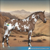 Horse Color:White Spotted Liver Red Dun Brindle 