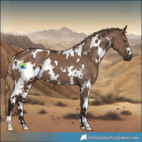 Horse Color:White Spotted Liver Red Dun Brindle