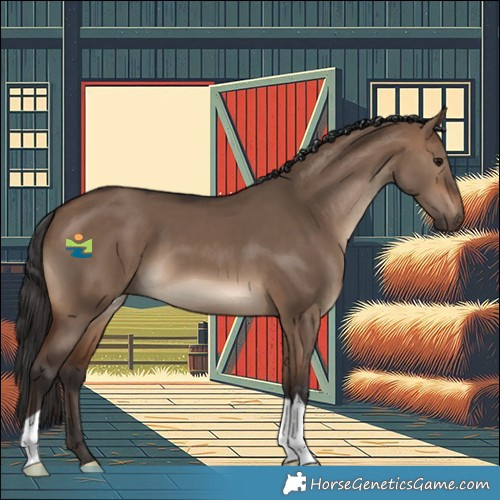 Horse Color:Brown Dun 