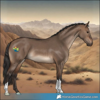 Horse Color:Brown Dun 