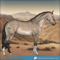 Horse Color:Brown Dun 