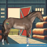 Horse Color:Brown Dun 