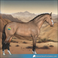 Horse Color:Bay Dun Brindle 