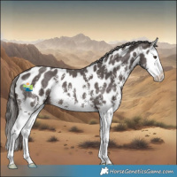Horse Color:Liver Chestnut Sabino Splash Appaloosa 