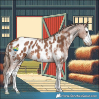 Horse Color:Chestnut Sabino Splash Near Leopard 