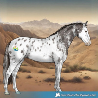 Horse Color:Liver Chestnut Sabino Splash Appaloosa 