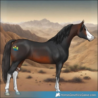 Horse Color:White Spotted Brown