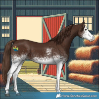 Horse Color:White Spotted Liver Chestnut 
