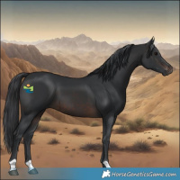 Horse Color:Brown 