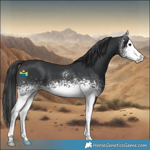 Horse Color:White Spotted Black 