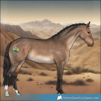 Horse Color:Brown Dun