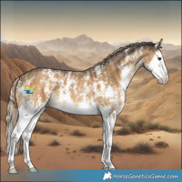 Horse Color:Chocolate Palomino Dun Sabino Splash Brindle
