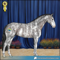 Horse Color:Brown Ice Sabino 