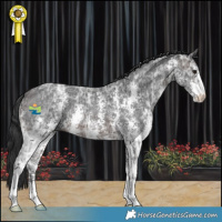 Horse Color:Brown Ice Sabino 