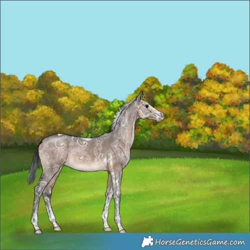Horse Color:White Spotted Brown Ice Dun Tobiano Rabicano 
