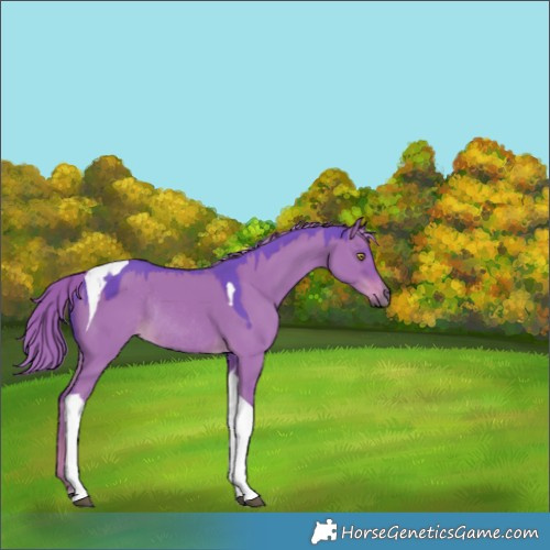 Horse Color:Watercolor Liver Red Dun Tobiano Rabicano 