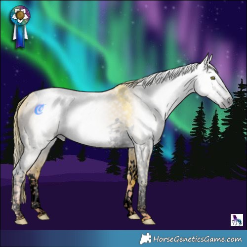 Horse Color:Gray Void Watercolor Liver Red Dun Splash Tobiano 