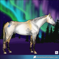 Horse Color:Gray Void Watercolor Liver Red Dun Splash Tobiano 