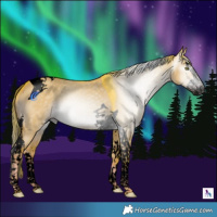 Horse Color:Gray Void Watercolor Liver Red Dun Splash Tobiano 