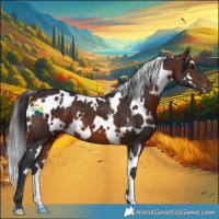 Horse Color:White Spotted Brown 