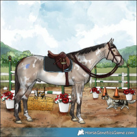 Horse Color:White Spotted Bay Dun Mushroom 