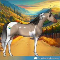 Horse Color:Brown Dun Tobiano