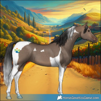 Horse Color:Brown Dun Tobiano 