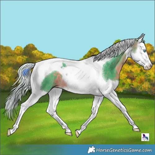 Horse Color:Watercolor Silver Buckskin Splash Tobiano 