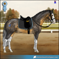 Horse Color:White Spotted Buckskin Splash 