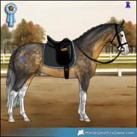 Horse Color:White Spotted Buckskin Splash 