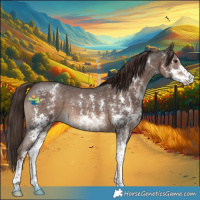 Horse Color:Liver Chestnut Sabino 