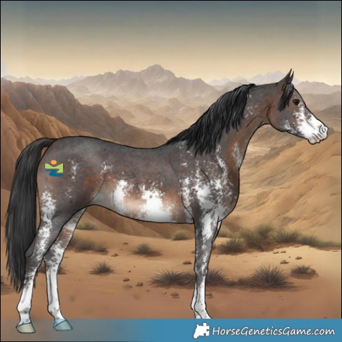Horse Color:Brown Sabino 