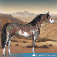 Horse Color:Brown Sabino 
