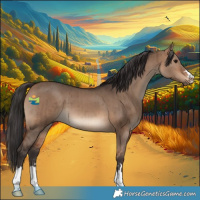 Horse Color:Bay Dun Brindle