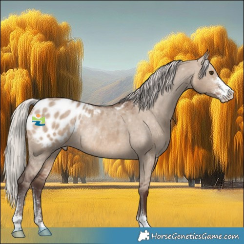 Horse Color:Silver Brown Dun Sabino Blanket Rabicano 