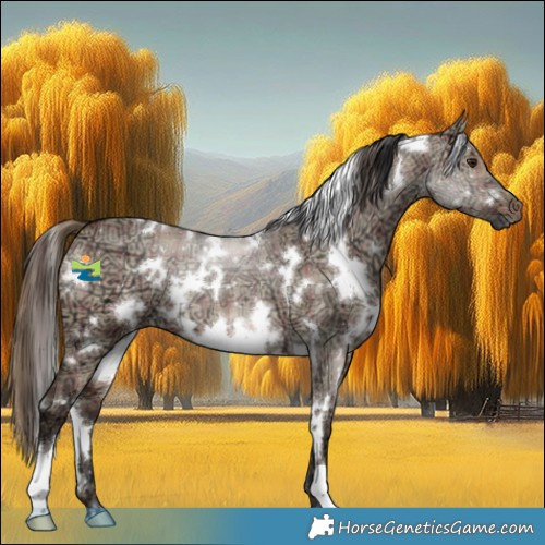Horse Color:Plaid  White Spotted Brown Ice Dun 