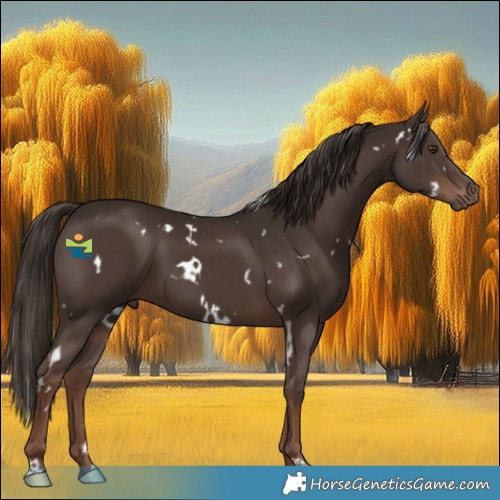 Horse Color:White Spotted Liver Chestnut 