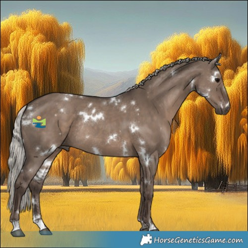Horse Color:White Spotted Silver Grullo Rabicano 