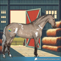 Horse Color:White Spotted Silver Brown Dun Rabicano 
