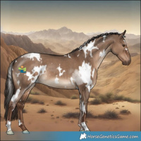 Horse Color:White Spotted Liver Red Dun 