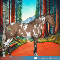 Horse Color:White Spotted Liver Red Dun 