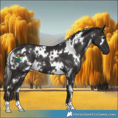 Horse Color:White Spotted Liver Chestnut 