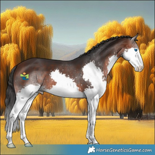 Horse Color:Brown Splash 