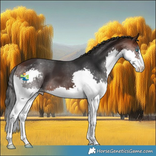 Horse Color:Brown Splash 