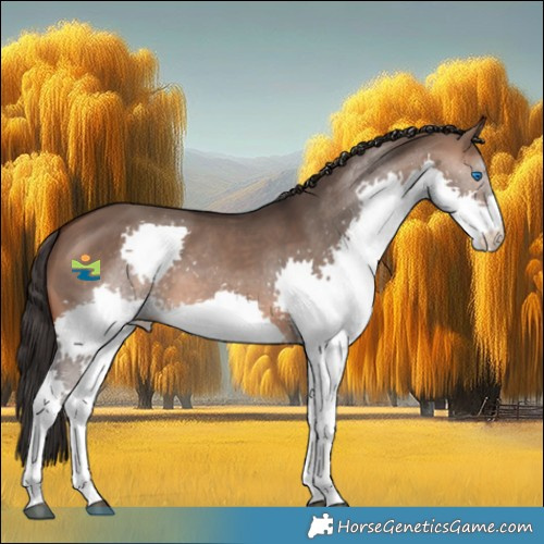 Horse Color:Brown Dun Sabino Splash 