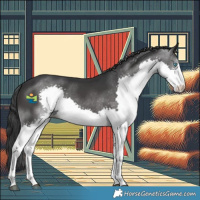 Horse Color:Black Splash 