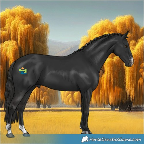 Horse Color:Liver Chestnut Sabino 