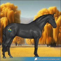Horse Color:Black 