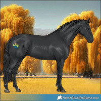 Horse Color:Black 